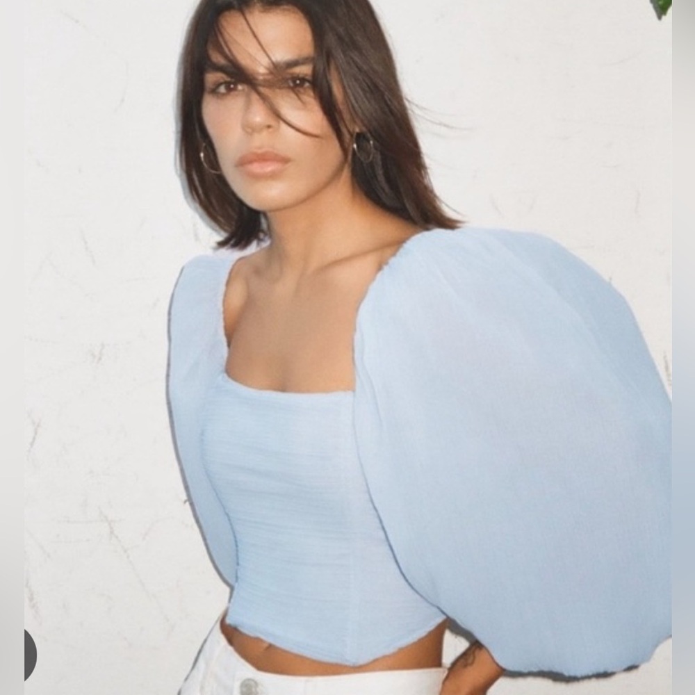 Zara NWOT corset Puff Sleeve Organza Top